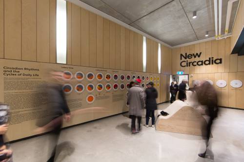 New Circadia: Adventures in Mental Spelunking - MTWTF